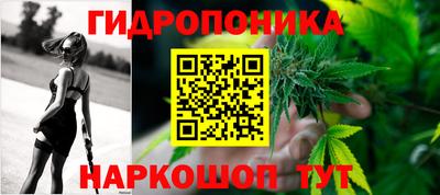 прущие грибы Бузулук