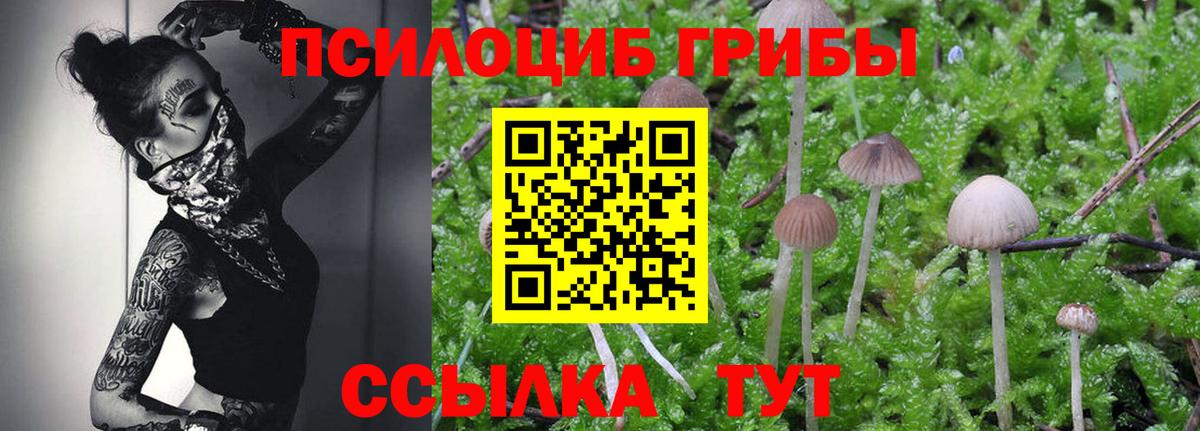 Кудымкар  Псилоцибиновые грибы мухоморы  Галлюциногенные грибы Psilocybe  Вход с VPN 
