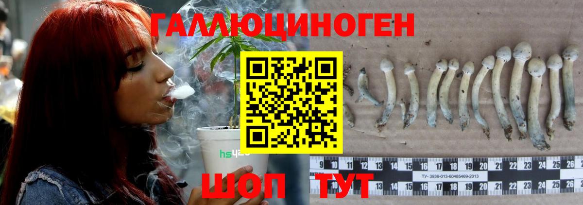 Галлюциногенные грибы Magic Shrooms Кудымкар