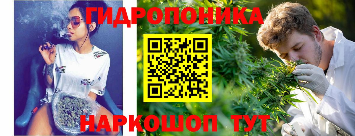 Конопля планчик Кудымкар